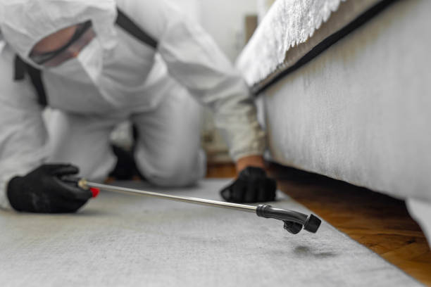 Professional Bed Bug Control technician working in Tres Arroyos, NM